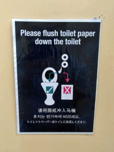 How to use the toilet?